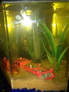 386607_10152392186775576_15829372_n